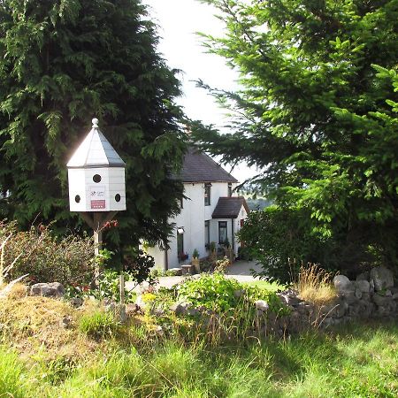 Celyn Villa Bed And Breakfast Holywell  Buitenkant foto