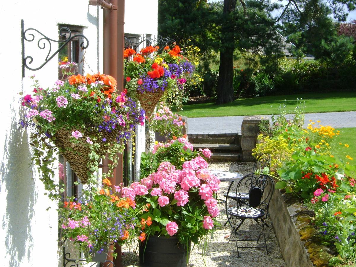 Celyn Villa Bed And Breakfast Holywell  Buitenkant foto