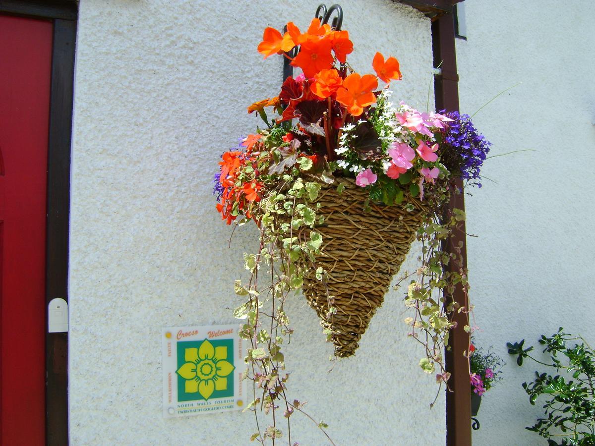 Celyn Villa Bed And Breakfast Holywell  Buitenkant foto