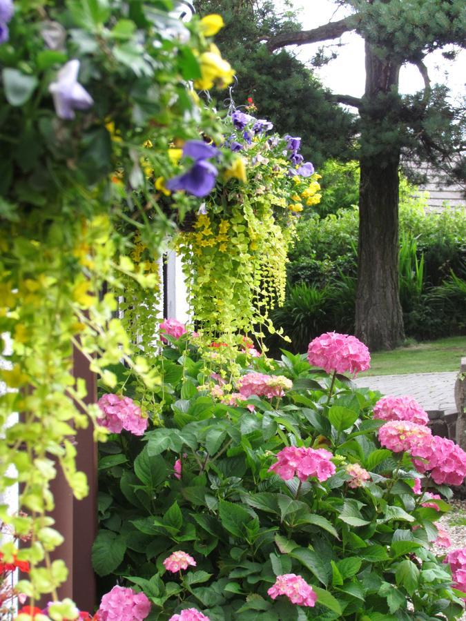 Celyn Villa Bed And Breakfast Holywell  Buitenkant foto